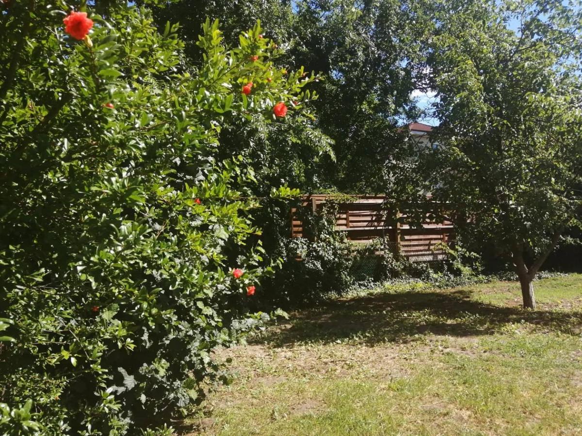 Rakos-Patak Family House Garden & Free Parking — Photos 2