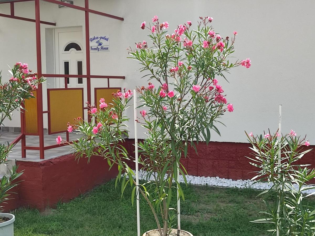 Rakos-Patak Family House Garden & Free Parking — Photos 1